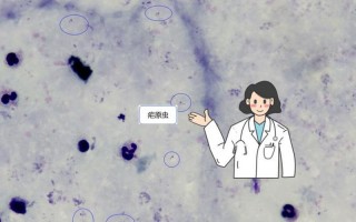 徐州疫情最新动态