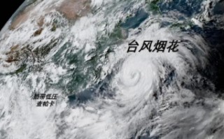 第8号台风“尼伯特”生成,为何要将第8号台风命名为“尼伯特”?