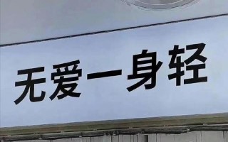 蓝桉已遇释槐鸟下一句