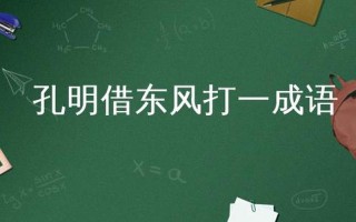 孔明借东风打一成语