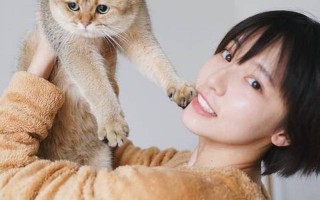 成果演员个人资料