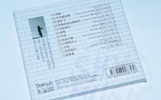 致青春主题曲 王菲