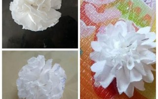 小白花的 ***  *** 