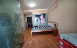 一室一厅出租500元