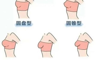 组词女生的胸长什么(图)