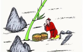 944cc精选料944CC精选料