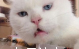 好吗一句话就哽住了喉
