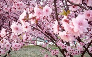 时光荏苒 岁月如歌