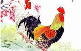 一声令下三军随是什么生肖