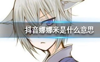 娜娜米是什么意思