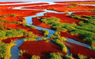 盘锦红海滩旅游攻略