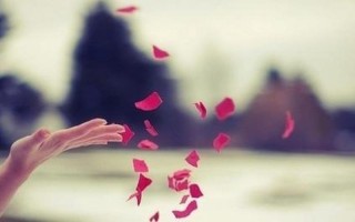 我决定爱你在任何时候