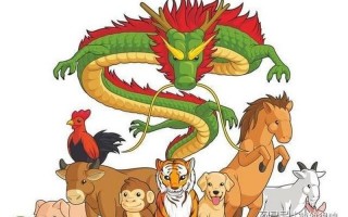 人五人六是什么生肖