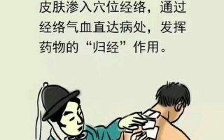 三伏贴的作用与功效与禁忌