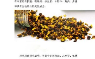 雪菊的功效与副作用