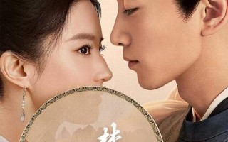 梦华录原著小说简介