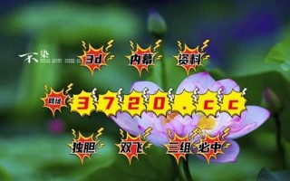明天号码预测
