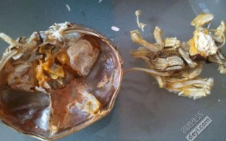 螃蟹蒸15分钟还有寄生虫吗