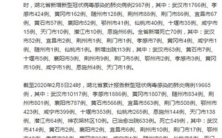 武汉新增确诊病例4例