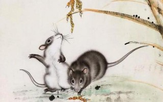 捕风捉影的更佳生肖