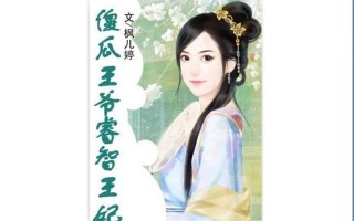 傻瓜王爷睿智王妃