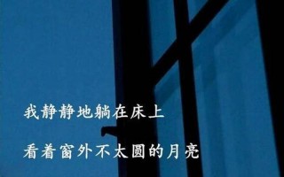 窗外明月光映照我脸庞是什么歌名