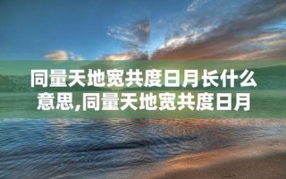 是什么意思