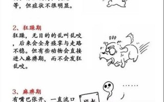 如何引导狗狗上自己春雨医生