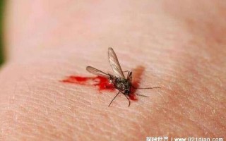 打死一只蚊子判几年