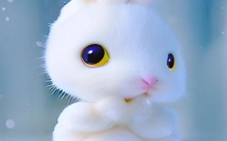 觉得人类可爱的动物