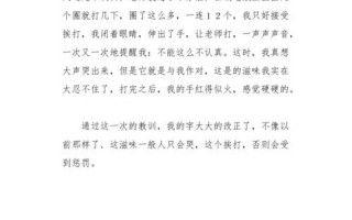自我体罚脱一次加穿3天作文