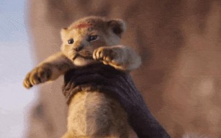 欲钱买呆头呆脑的动物