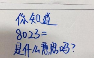 女人出轨8023是什么意思啊