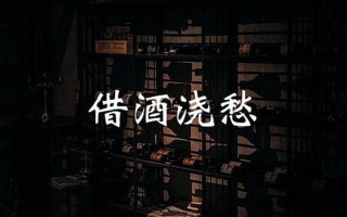 我酿的酒喝不醉我自己是什么歌