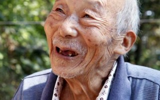 五代同堂打一个生肖