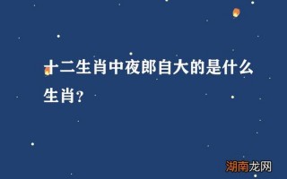 夜郎自大是什么生肖？