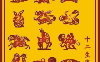早出晚归打一正确生肖