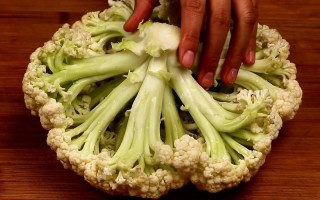花椰菜吃的是什么部位