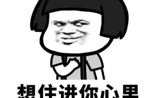 我想要住进你心里