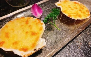 14女生扇贝图片大全