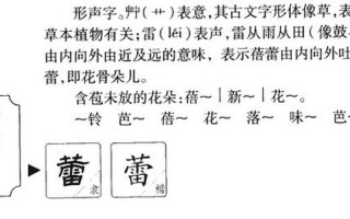 蕾的拼音和组词语
