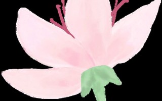 神幻之恋1.5a攻略