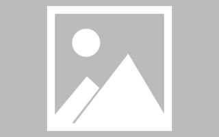 2016 年奥运会在哪里举行?2016年奥运会是第几届奥运会?