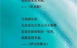 凌晨四点钟看到海棠花未眠下一句