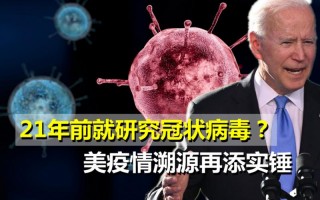 新冠是从哪一年开始的