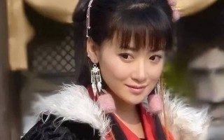 陈紫函演过的电视
