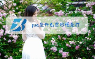  *** 流行语PUA是什么意思