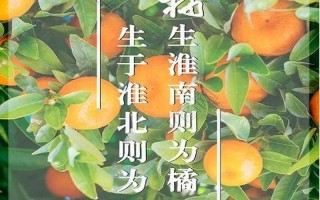 橘生淮南则为橘 生于淮北则为枳