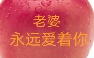 我爱的人和爱我的人