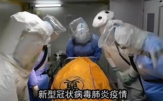 大体老师是什么意思？